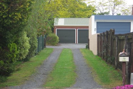 Photo of property in 12 Mcdonald Place, Paeroa, 3600