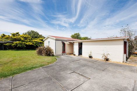 Photo of property in 39 Alexandra Street, Marton, 4710