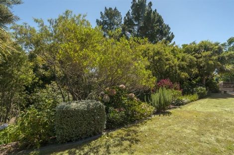 Photo of property in 19 Stableford Drive, Pyes Pa, Tauranga, 3112