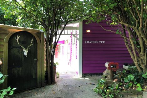 Photo of property in 1 Haines Terrace, Aro Valley, Wellington, 6021