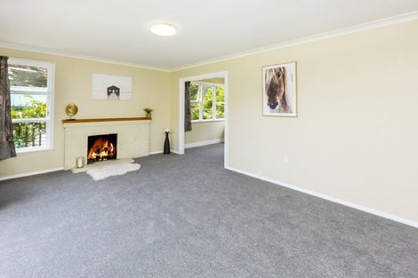 Photo of property in 47 Gillespies Road, Birchville, Upper Hutt, 5018