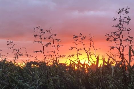 Photo of property in 24 Barton Street, Marton, 4710