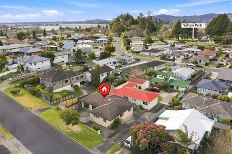 Photo of property in 6 Hilltop Road, Parkvale, Tauranga, 3112