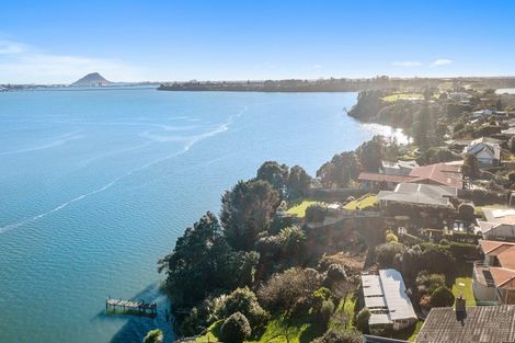 Photo of property in 340b Maungatapu Road, Maungatapu, Tauranga, 3112