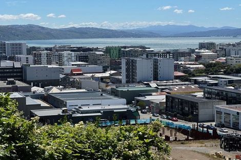 Photo of property in 59 Hankey Street, Mount Cook, Wellington, 6011