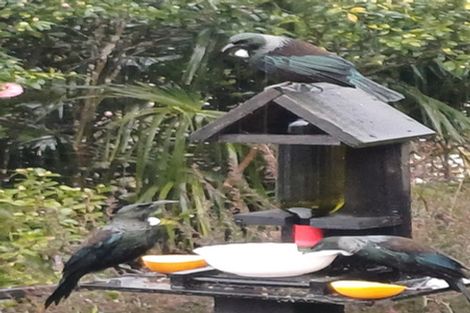 Photo of property in 15a Kingsley Street, Leamington, Cambridge, 3432