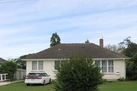 Photo of property in 50 Atkinson Street, Mangapapa, Gisborne, 4010