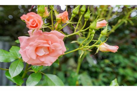 Photo of property in 188 Nelson Street, Strathern, Invercargill, 9812