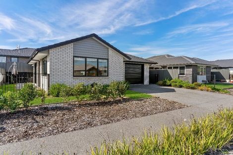Photo of property in 48 Sentinel Avenue, Omokoroa, 3114