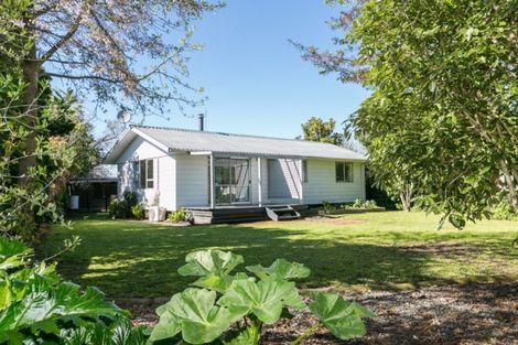 Photo of property in 805 Wall Road, Raureka, Hastings, 4120