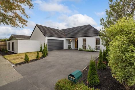 Photo of property in 328 Waimairi Road, Ilam, Christchurch, 8041