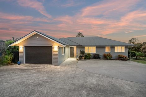 Photo of property in 113 Dip Road, Te Kamo, Whangarei, 0176