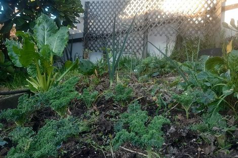 Photo of property in 38 Esk Street, Parkvale, Tauranga, 3112