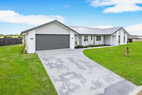 Photo of property in 136 Travers Road, Te Kauwhata, 3710