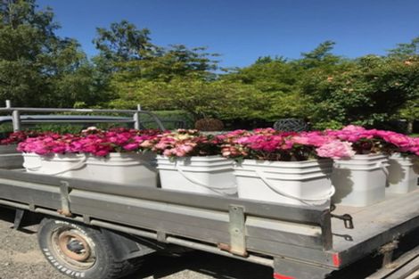 Photo of property in 66 Coldstream Road, Rangiora, 7473