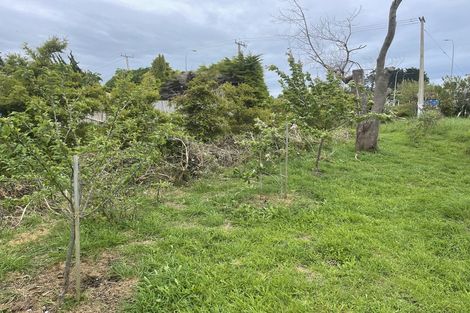 Photo of property in 145 Te Moana Road, Waikanae, 5036