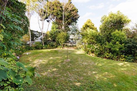 Photo of property in 101 Lincoln Street, Ashhurst, 4810