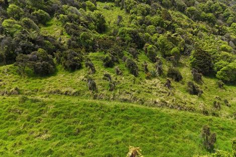 Photo of property in 294 State Highway 67, Hector, 7891