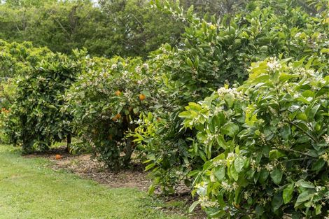 Photo of property in 27 Dingle Road, Morrinsville, 3372