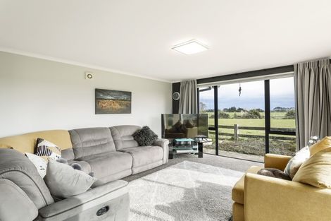 Photo of property in 58 North Branch Road, Milton, 9291