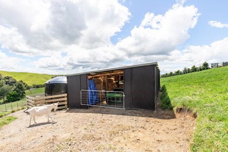 Photo of property in 169 Torehape Road, Kaihere, Ngatea, 3597