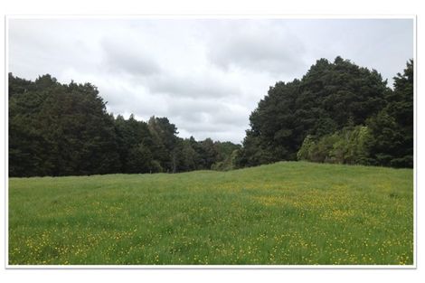 Photo of property in 62 Old Coach Way, Ramarama, Drury, 2579