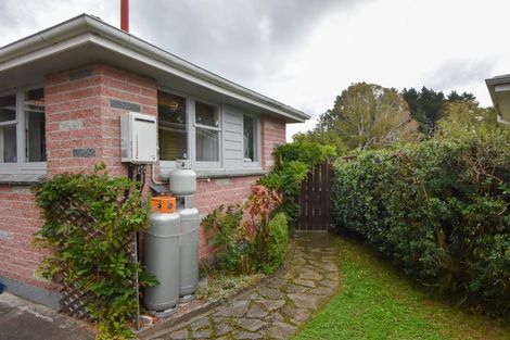 Photo of property in 1 Hughan Place, Carterton, 5713