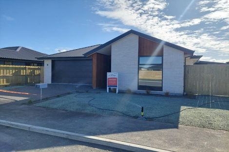 Photo of property in 17 Sarah Nicholls Street, Belfast, Christchurch, 8051