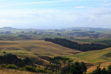 Photo of property in 448 Ruapuke Road, Raglan, 3296