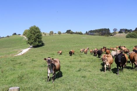 Photo of property in 176 Morrison Road, Arapohue, Dargaville, 0374