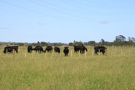 Photo of property in 550 Mountain Road, Lepperton, New Plymouth, 4373