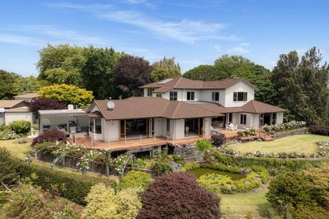 Photo of property in 289 Pahoia Road, Whakamarama, Tauranga, 3172