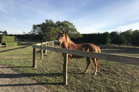 Photo of property in 121 Hunter Road, Eureka, Hamilton, 3287