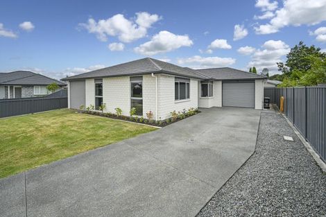 Photo of property in 10 Sixty Mile Close, Frimley, Hastings, 4120