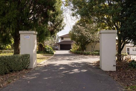 Photo of property in 289 Pahoia Road, Whakamarama, Tauranga, 3172