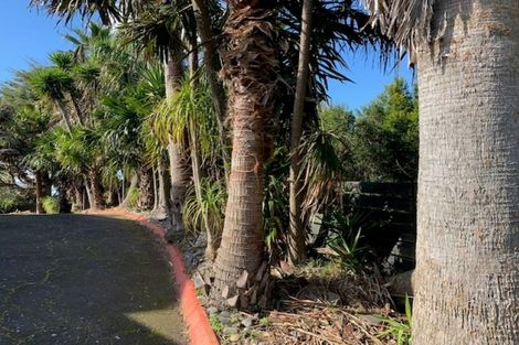 Photo of property in 706 Ponga Road, Opaheke, Papakura, 2584