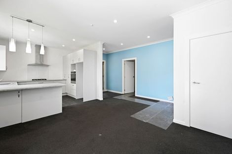 Photo of property in 111 Galloway Street, Hamilton East, Hamilton, 3216