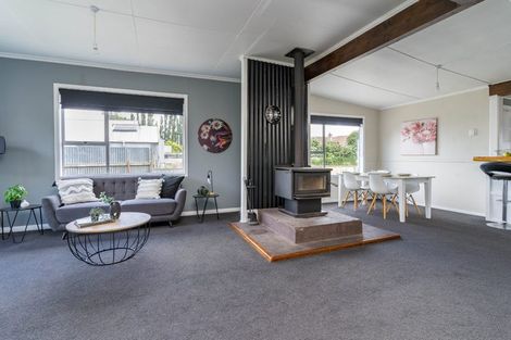 Photo of property in 8 Mill Street, Milton, 9220