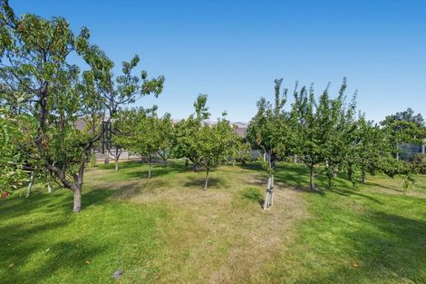 Photo of property in 10 Missy Crescent, Mount Pisa, Cromwell, 9383