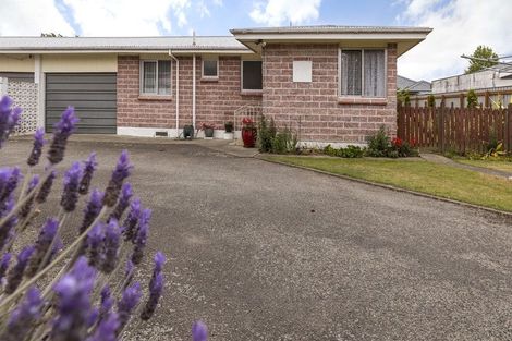 Photo of property in 44a-b Leefield Street, Blenheim, 7201