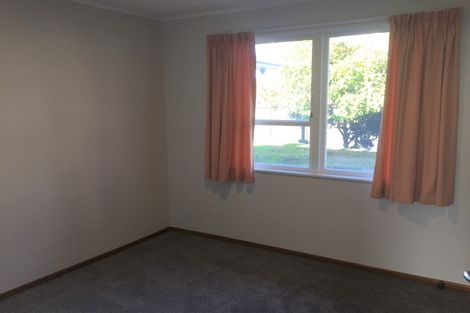 Photo of property in 20a Taupo Avenue, Mount Maunganui, 3116