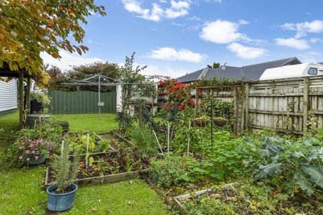 Photo of property in 75-77 Beach Road, Katikati, 3129