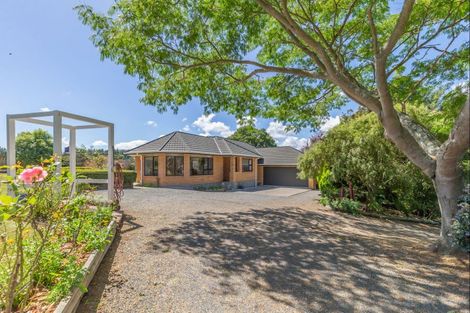 Photo of property in 223 Heatherlea East Road, Levin, 5571