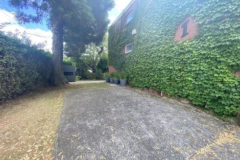Photo of property in 1h Albury Avenue, Epsom, Auckland, 1023