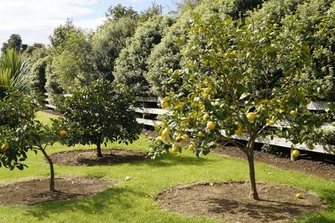 Photo of property in 7 Kotare Heights, Kerikeri, 0230