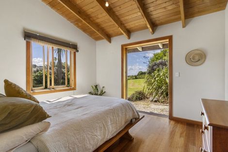Photo of property in 339 Onemana Drive, Onemana, Whangamata, 3691