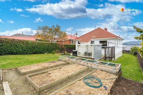 Photo of property in 5 Cuba Street, Calton Hill, Dunedin, 9012