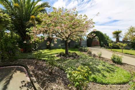 Photo of property in 50a Avenue Road, West End, Timaru, 7910
