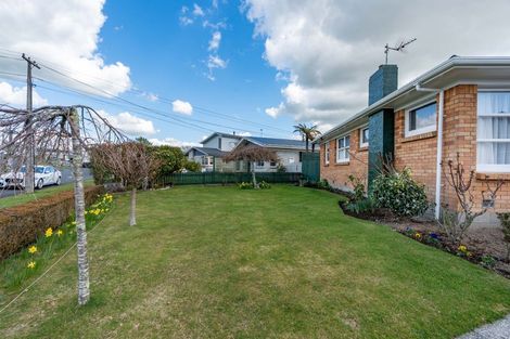 Photo of property in 49 Garden Heights Avenue, Glenview, Hamilton, 3206