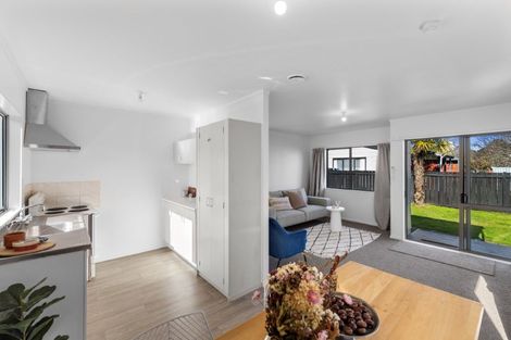 Photo of property in 12b Solomon Street, Brookfield, Tauranga, 3110